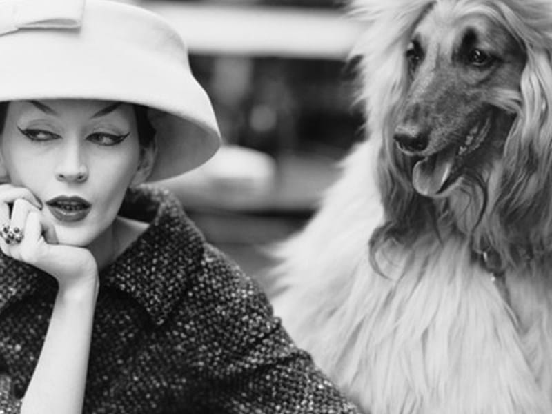 Balenciaga - Master of Couture