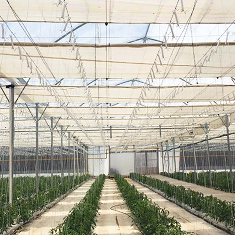 Natural Food Planet kas